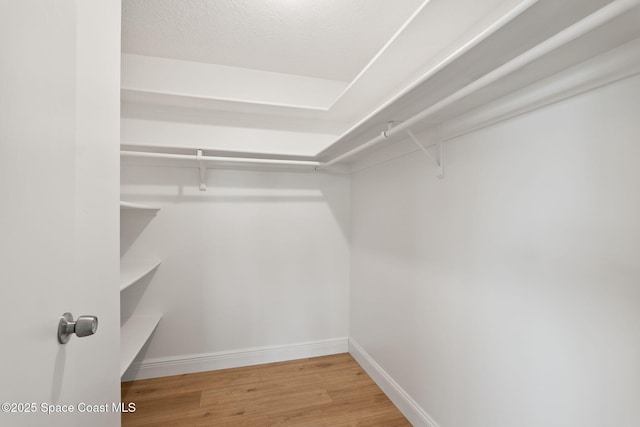 spacious closet featuring wood finished floors