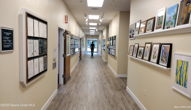hall with baseboards, a drop ceiling, and wood finished floors