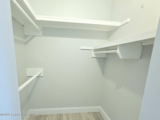 walk in closet with light wood finished floors