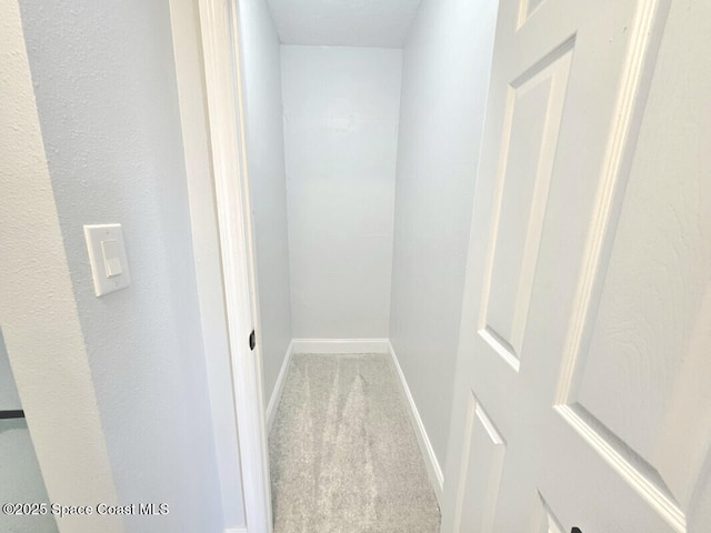 walk in closet featuring carpet flooring