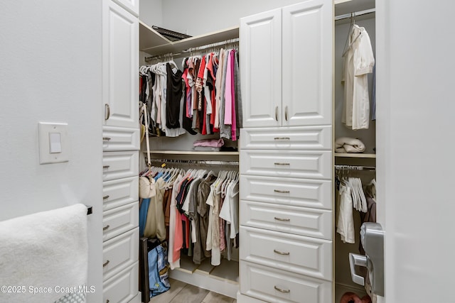 view of closet