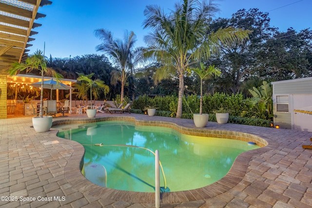 view of swimming pool featuring a patio area and a fenced in pool