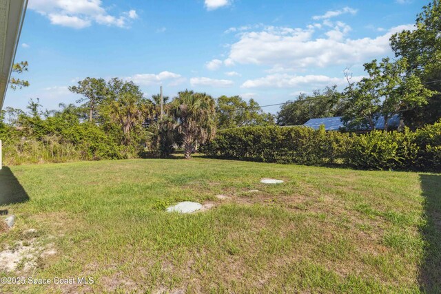 780 Geddes St SW, Palm Bay, FL 32908 - view of green lawn