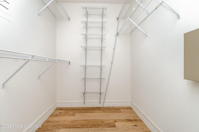 766 Preakness Dr, Melbourne, FL 32904 - walk in closet with light wood-type flooring