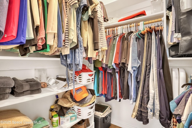 view of spacious closet