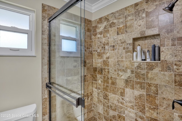 bathroom featuring a wealth of natural light, toilet, and a shower stall