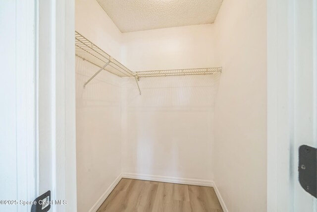 1680 Travis St SE, Palm Bay, FL 32909 - walk in closet featuring light wood-style floors