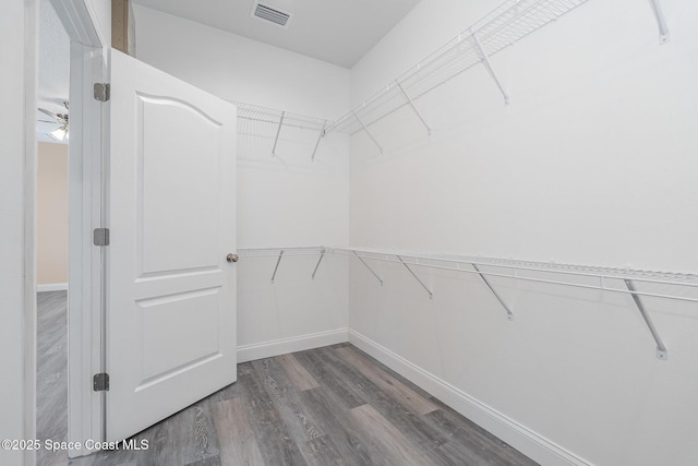 walk in closet featuring ceiling fan, visible vents, and wood finished floors
