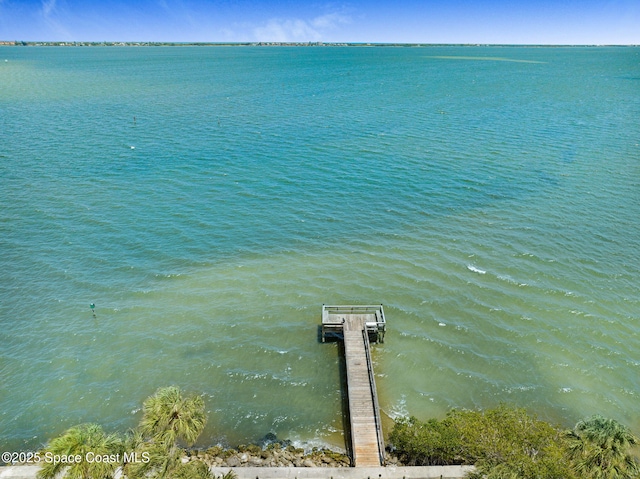 5011 Dixie Hwy NE Unit A312, Palm Bay, FL 32905 - water view featuring a boat dock