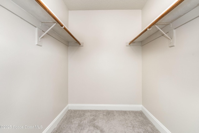 walk in closet featuring carpet floors