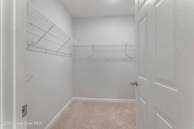 spacious closet featuring carpet flooring