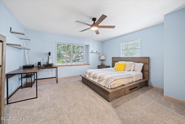 505 Tradewinds Dr, Indian Harbour Beach, FL 32937 - bedroom with carpet, baseboards, and multiple windows