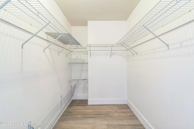 walk in closet with wood finished floors