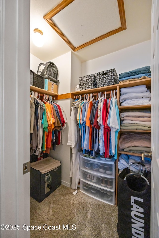 412 Sailfish Ave Unit 16, Cape Canaveral, FL 32920 - spacious closet featuring carpet flooring