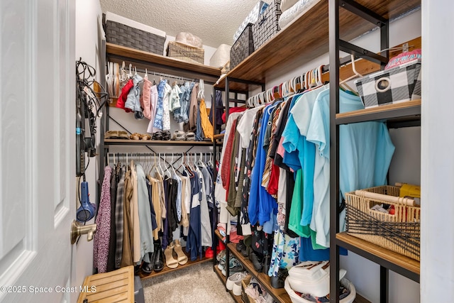412 Sailfish Ave Unit 16, Cape Canaveral, FL 32920 - walk in closet with carpet floors