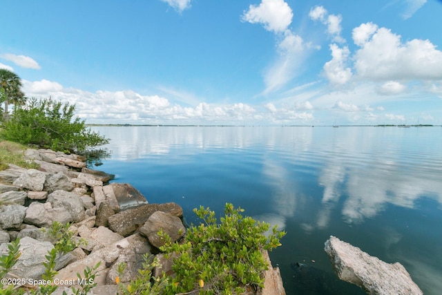1000 Dames Ct, Titusville, FL 32780 - photo 48
