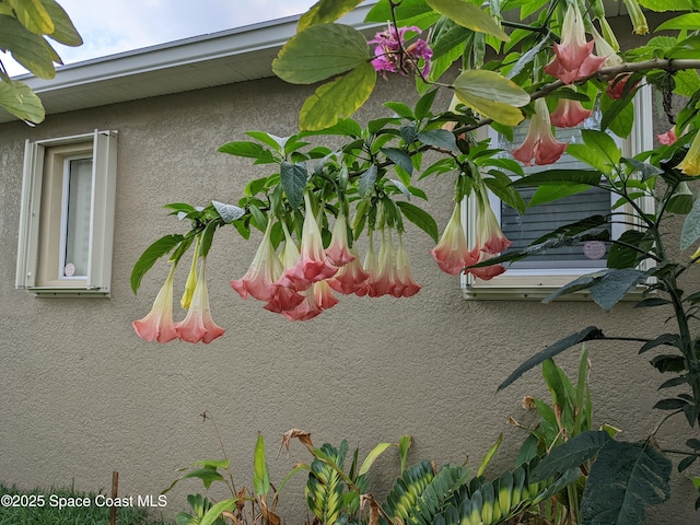 exterior details featuring stucco siding