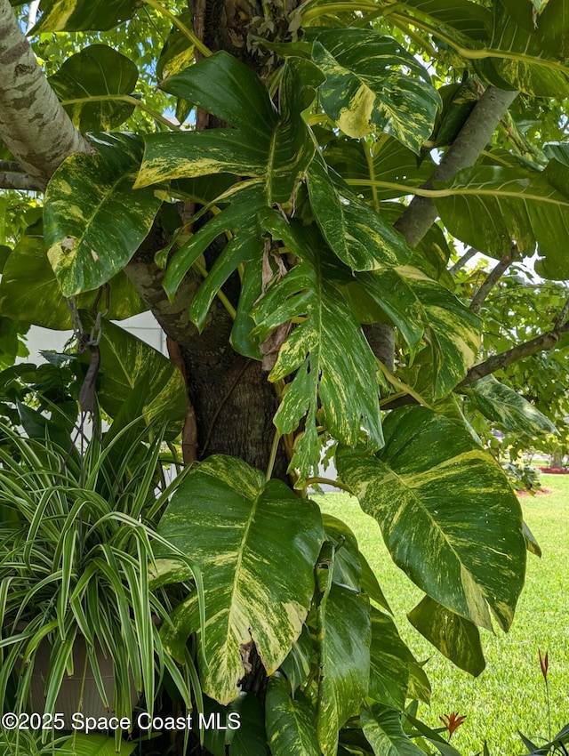 view of exterior details