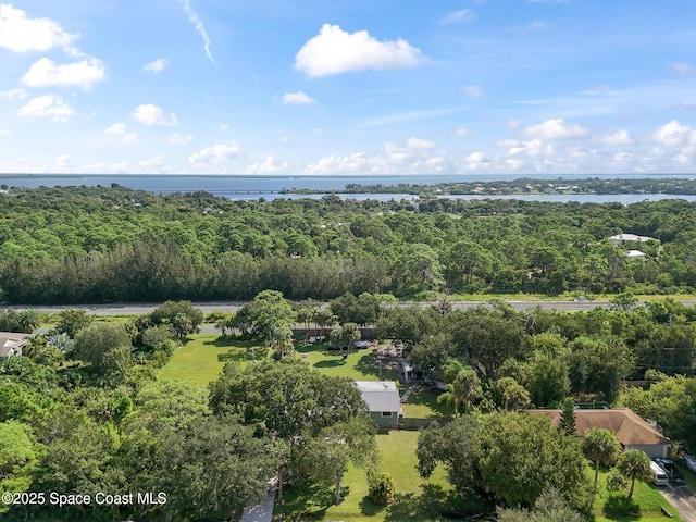 9633 Honeysuckle Dr, Sebastian, FL 32976 - aerial view featuring a water view and a wooded view