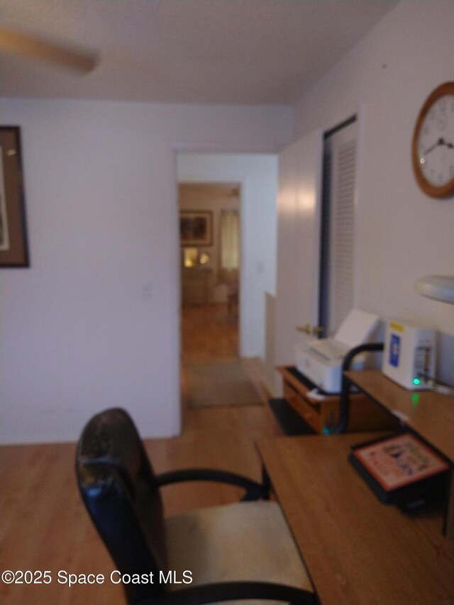 8705 Hibiscus Ct, Cape Canaveral, FL 32920 - photo 42