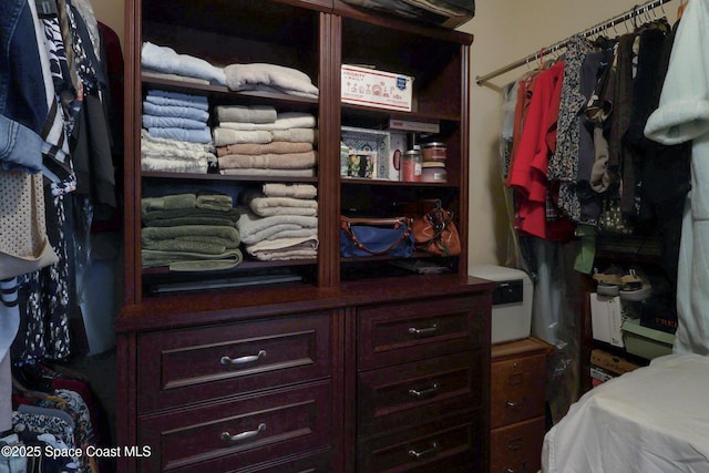 249 Franzing St, Palm Bay, FL 32908 - view of walk in closet