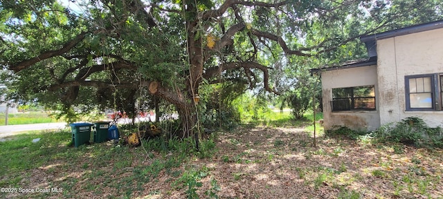 920 Malabar Rd, Malabar, FL 32950 - view of yard