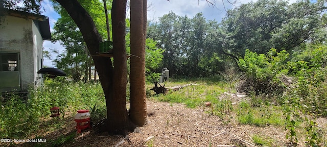 920 Malabar Rd, Malabar, FL 32950 - view of undeveloped land