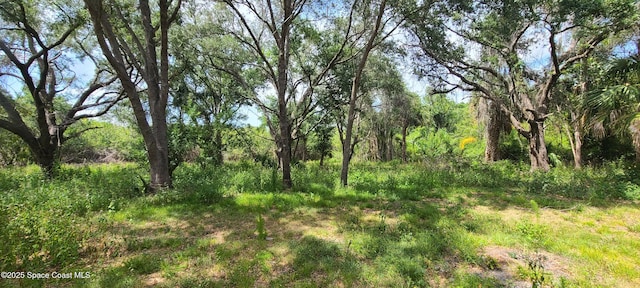 920 Malabar Rd, Malabar, FL 32950 - view of nature