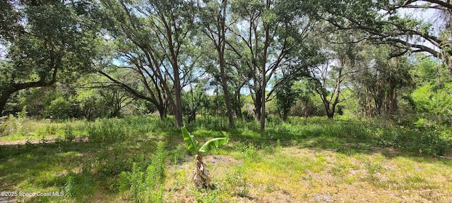 920 Malabar Rd, Malabar, FL 32950 - view of nature