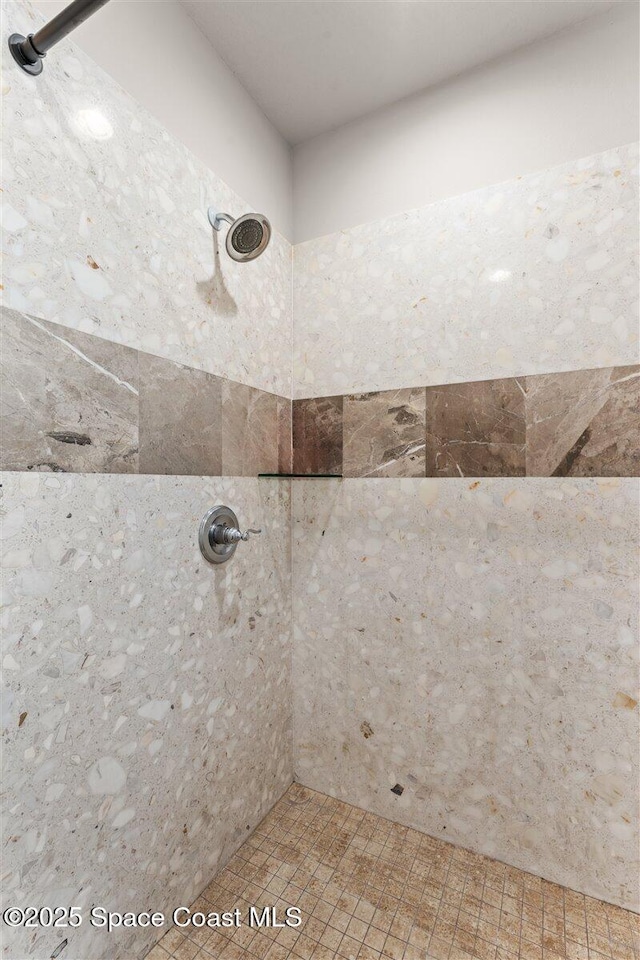 7268 Preserve Pointe Dr, Merritt Island, FL 32953 - bathroom featuring a tile shower