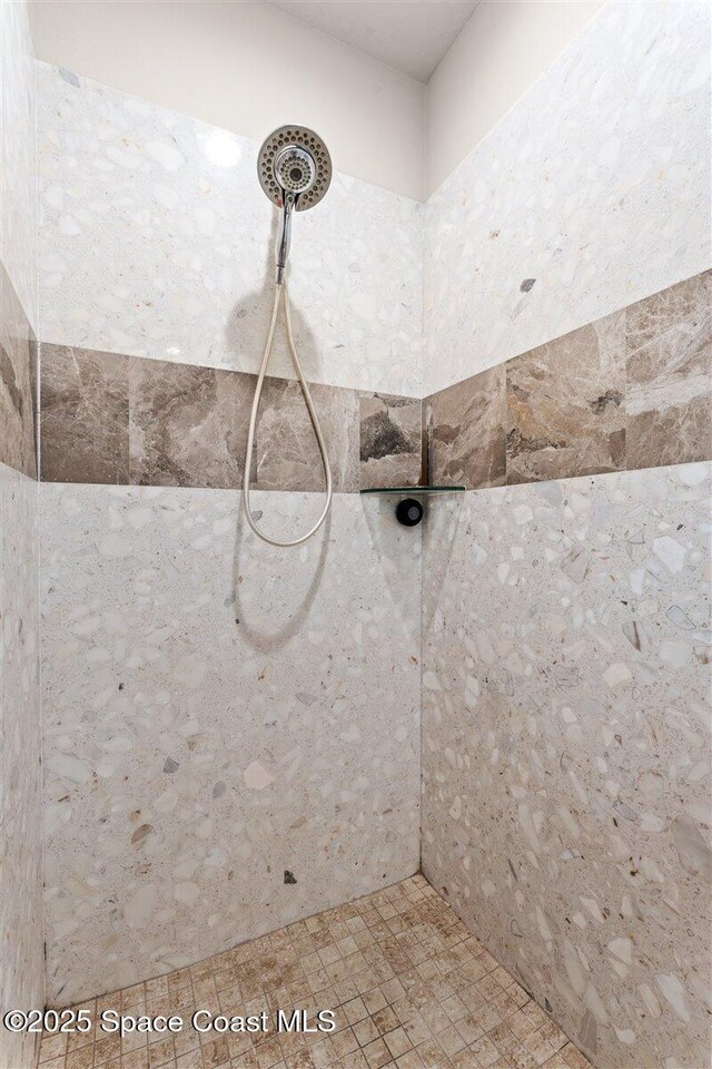 7268 Preserve Pointe Dr, Merritt Island, FL 32953 - bathroom view of tiled shower