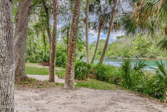 view of yard with a water view