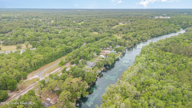 aerial view of property's location with a forest and a nearby body of water