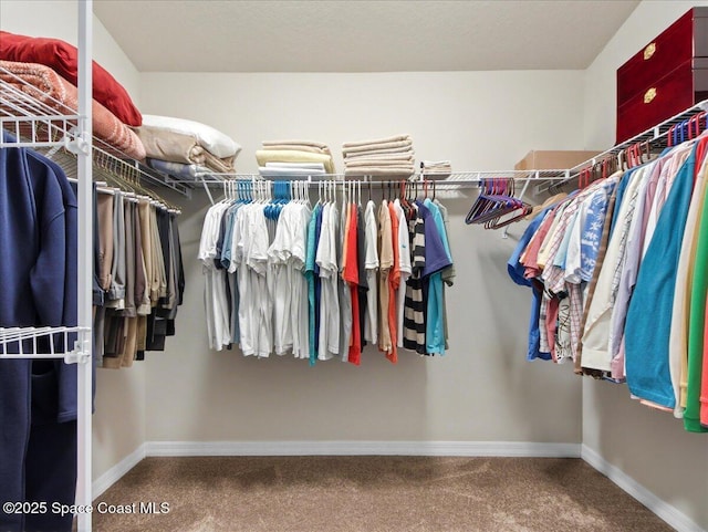 354 Dryden Cir, Cocoa, FL 32926 - spacious closet with carpet flooring