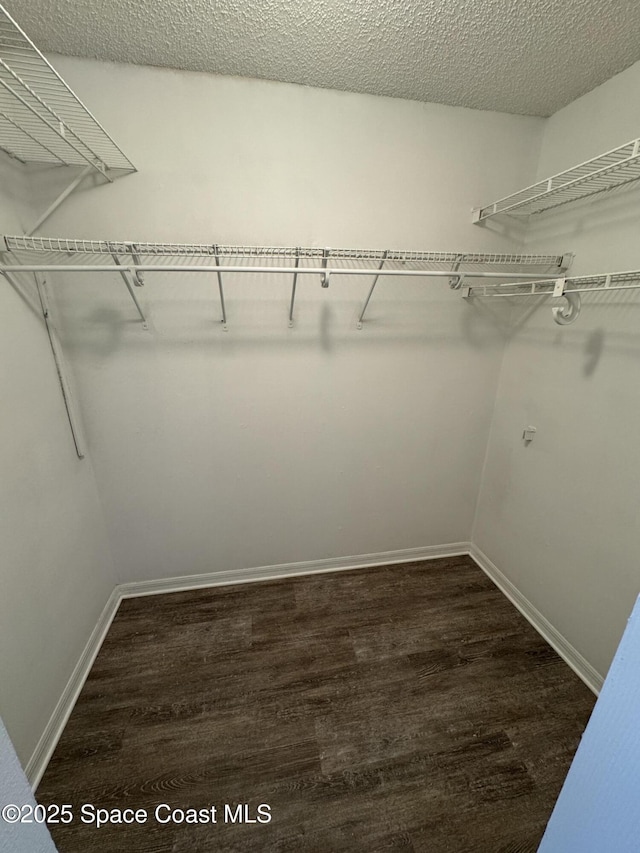539 Olsmar St SW, Palm Bay, FL 32908 - walk in closet featuring wood finished floors