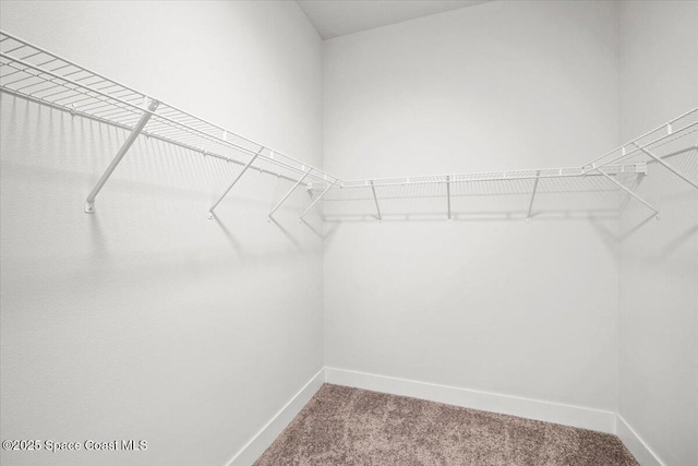 998 Wacona St SE, Palm Bay, FL 32909 - spacious closet featuring carpet