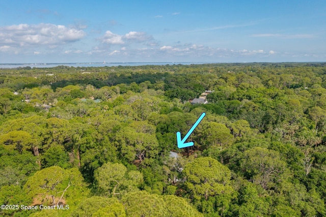aerial view of a forest