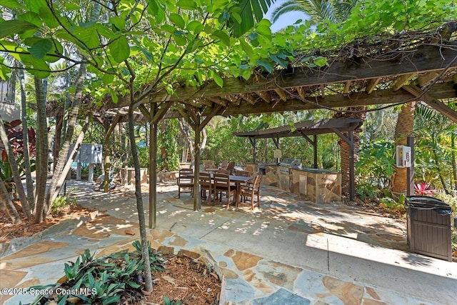 view of patio / terrace featuring area for grilling and outdoor dining space