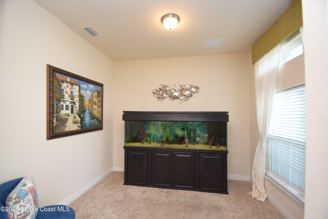 detailed view of carpet and baseboards