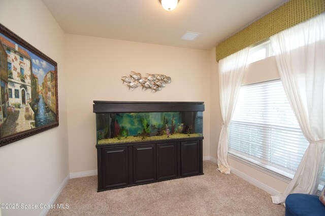 detailed view of carpet flooring and baseboards