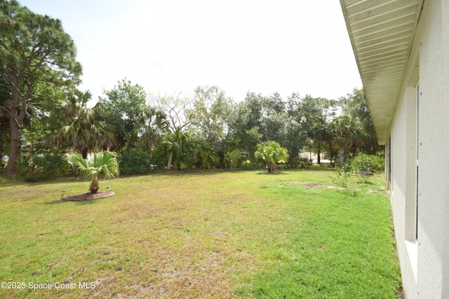 view of grassy yard