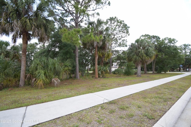 view of community featuring a yard