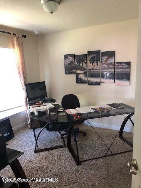 home office featuring carpet floors and baseboards
