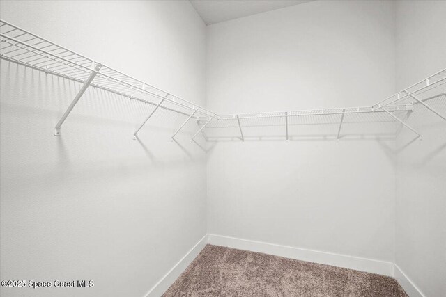 1413 Wilder Rd SE, Palm Bay, FL 32909 - spacious closet with carpet flooring