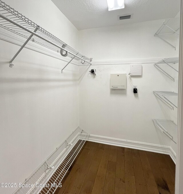 spacious closet featuring dark wood finished floors