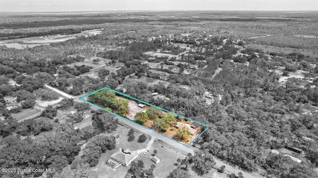 4855 Gandy Rd, Mims, FL 32754 - photo 4