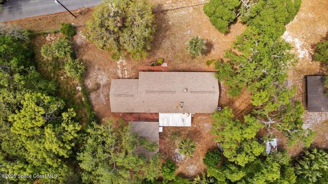 4855 Gandy Rd, Mims, FL 32754 - photo 41