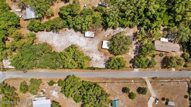 4855 Gandy Rd, Mims, FL 32754 - photo 42