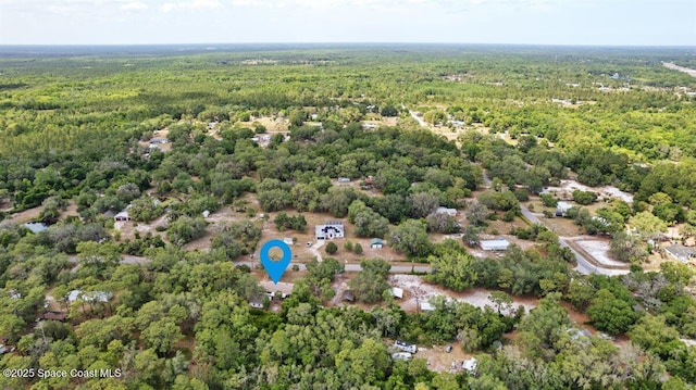 4855 Gandy Rd, Mims, FL 32754 - photo 44
