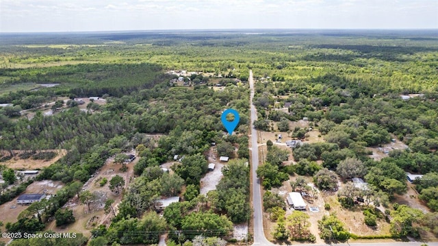 4855 Gandy Rd, Mims, FL 32754 - photo 45